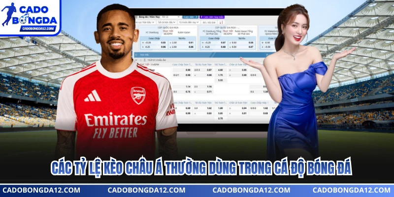 Các tỷ lệ kèo châu Á thường dùng trong cá độ bóng đá