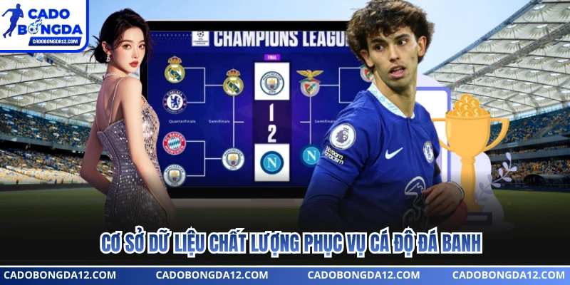 Cơ sở dữ liệu chất lượng phục vụ cá độ đá banh