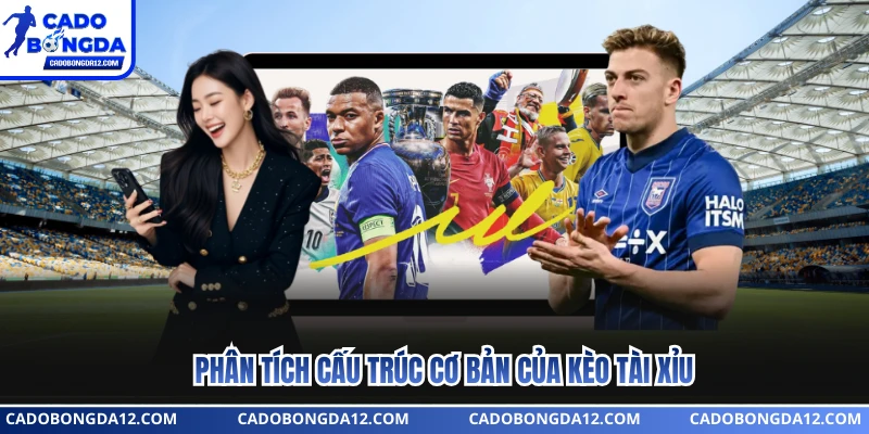 Phân tích cấu trúc cơ bản của kèo tài xỉu