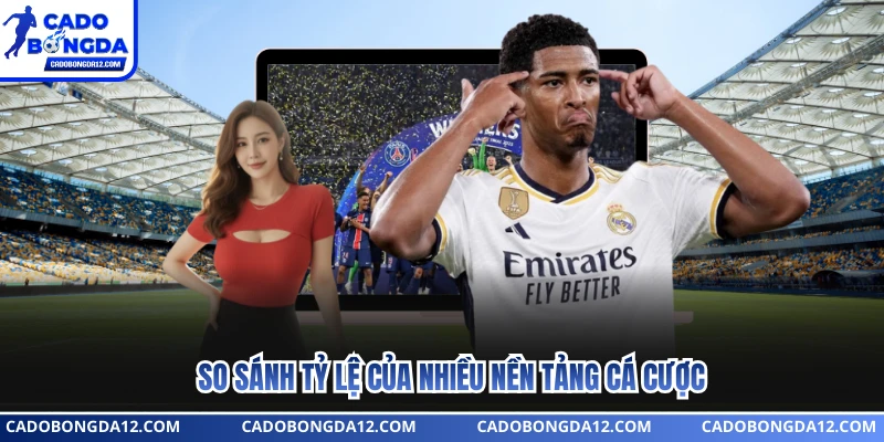 So sánh tỷ lệ của nhiều nền tảng cá cược