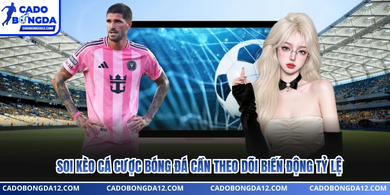 Soi kèo cá cược bóng đá cần theo dõi biến động tỷ lệ